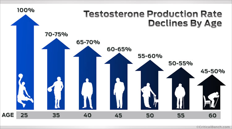 The testosterone production rate declines by age, from 100% at 25
                     to 45-50% at 60